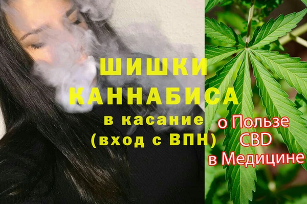крисы Аркадак