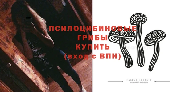 PSILOCYBIN Баксан