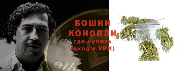 PSILOCYBIN Баксан