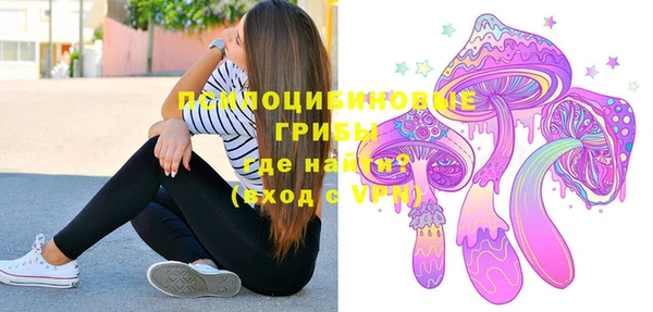 крисы Аркадак